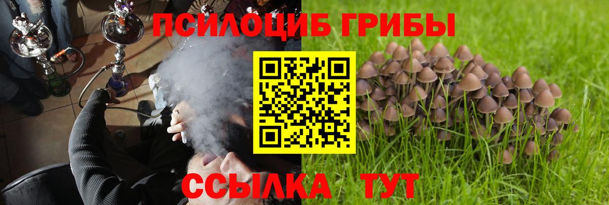 Псилоцибиновые грибы прущие грибы  Вход с VPN  Галлюциногенные грибы MAGIC MUSHROOMS  Еманжелинск 